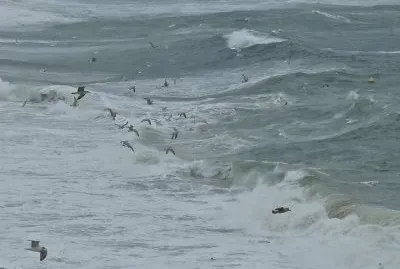 sternes dans la tempÃªte