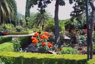 Jardin