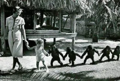 - amor maternal nÃ£o tem fronteira