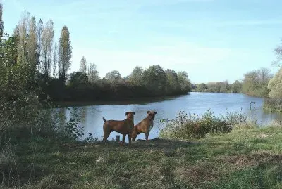 Bords du Loir