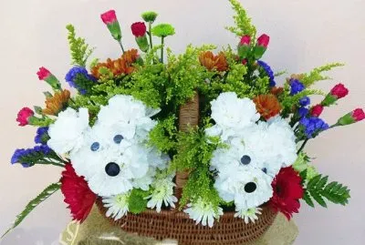 terriers