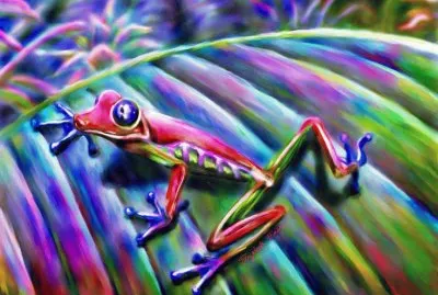 Colorful little Monster
