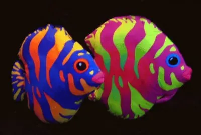 Fish art jigsaw puzzle