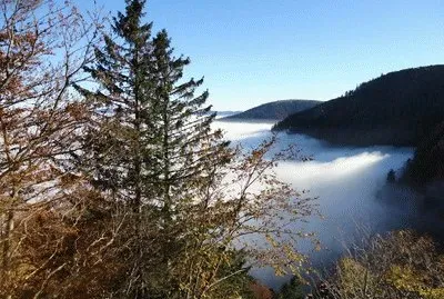brouillard en Alsace