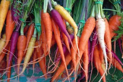 Colored Carrots