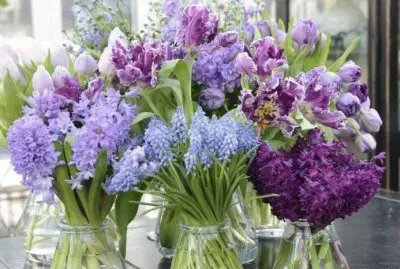 Flores