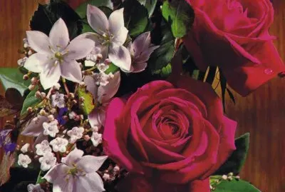 Flors