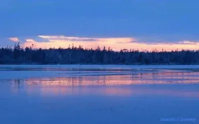 - deslumbrante!. jigsaw puzzle