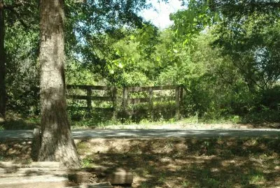 pasture