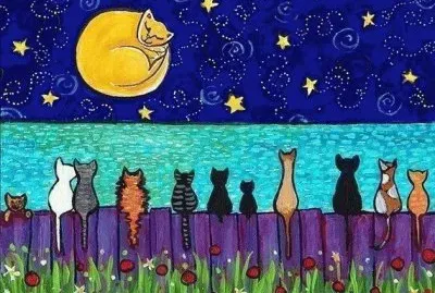 Full Moon Cats