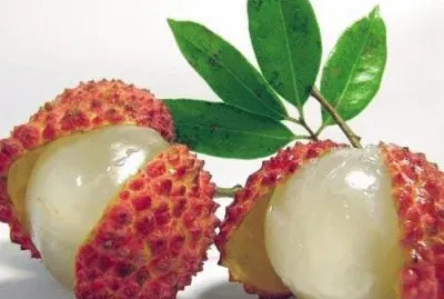 Yummy Yummy  Lychee