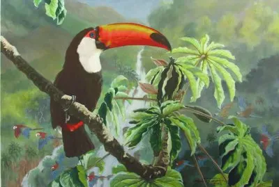 tucano
