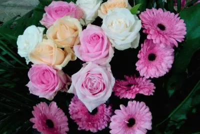 Flors