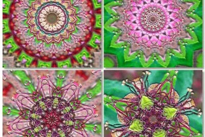 פאזל של FaraÃ³n