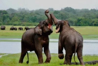 - tudo isso Ã© meu!