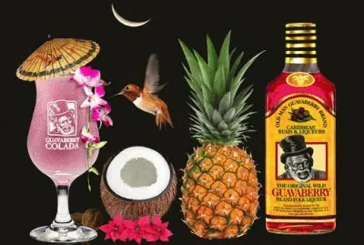 Ingredients for a perfect cocktail  Sint Maarten