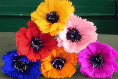 Mexican Crepe Flowers