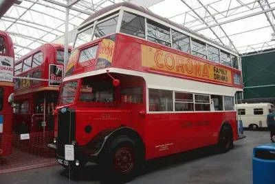 פאזל של FaraÃ³n