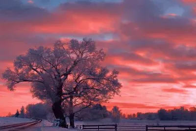 FaraÃ³n jigsaw puzzle