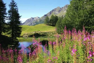 Paisatje