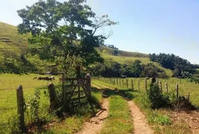 - caminho da roÃ§a!