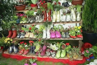 Unique Shoe Planters