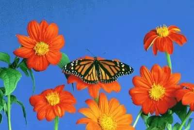 Springtime