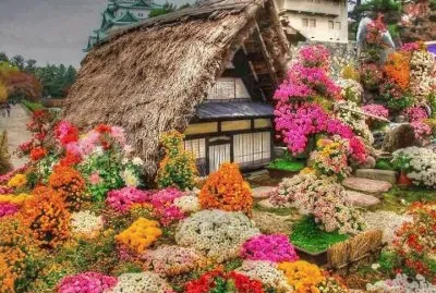 Many Colors