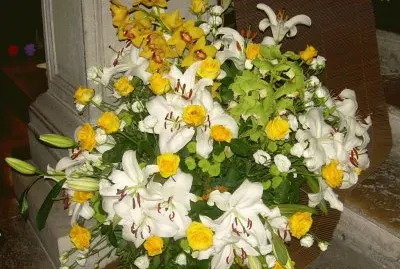 Flors