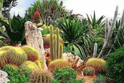 Botanical Garden  Singapore