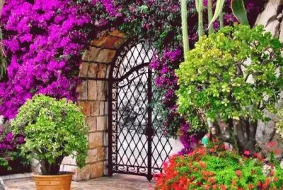 Exotic Garden in Monaco