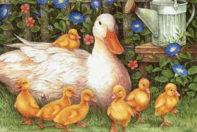 patinhos