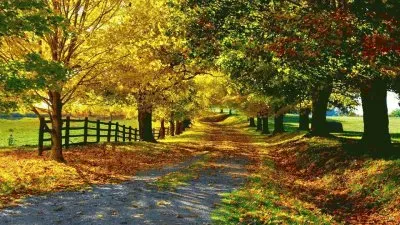 CAMINO ARBOLADO jigsaw puzzle