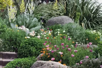 JardÃ¬