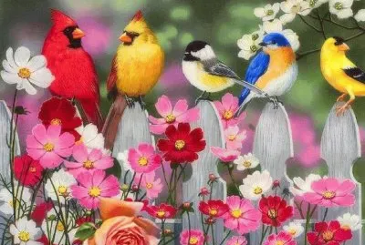 pÃ¡ssaros jigsaw puzzle