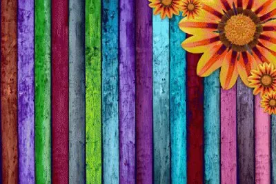 Madeira colorida jigsaw puzzle