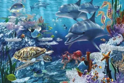 poissons jigsaw puzzle