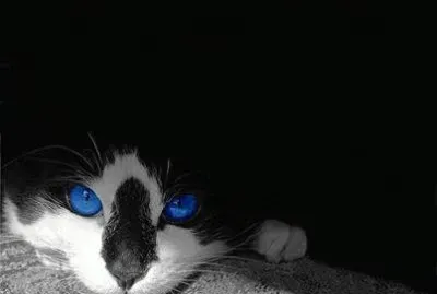 - olhos lindos