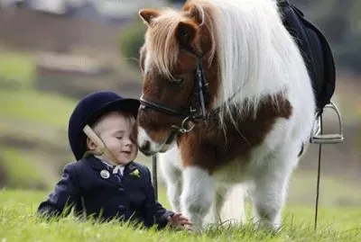 - voce Ã© lindo!