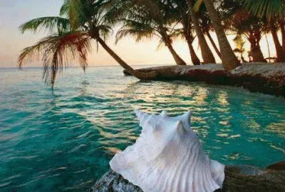 ile