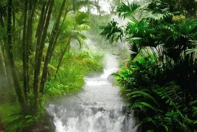 cascade
