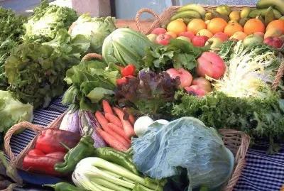 Aliments