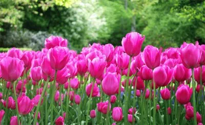 Lilith1stw jigsaw puzzle