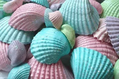 Colored Seashells jigsaw puzzle