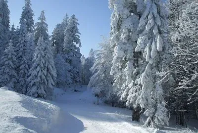 le Chitelet jigsaw puzzle