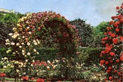 Jardins