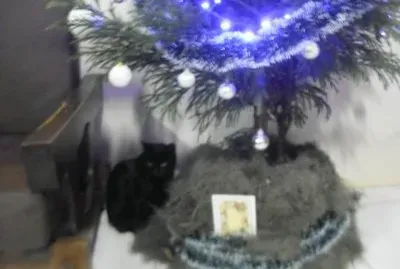 Alvin adora o Natal