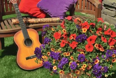 Purple and Red Confetti Garden