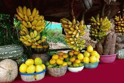 Tropical fruit  St. Maarten