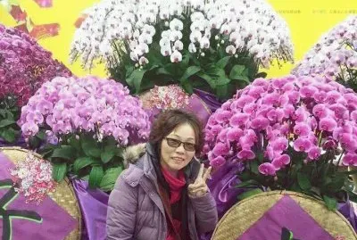 orquidea